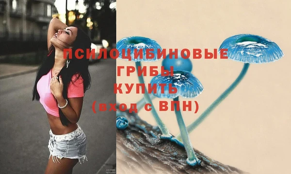 прущий лед Алексеевка
