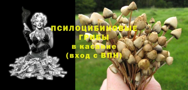 спиды Алексин