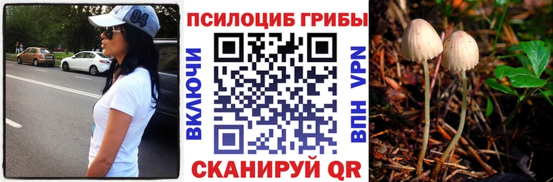 shop клад  Бирск  Псилоцибиновые грибы MAGIC MUSHROOMS  наркота 